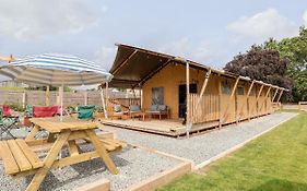 Lucky Clucky Lodge